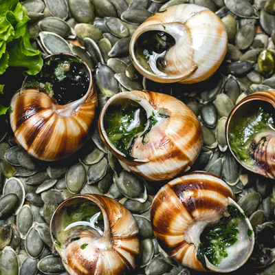 Escargots Perle Blanche