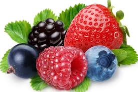 Plants fruitiers