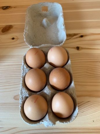 6 œufs frais