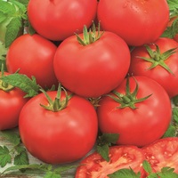 Tomates Monte-Carlo
