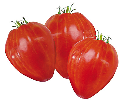 Tomates coeur de boeuf