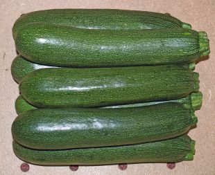 Courgette Allongée