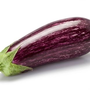 Aubergine striée