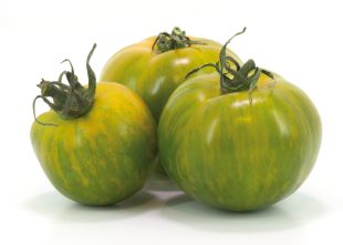 Tomates Green zebra