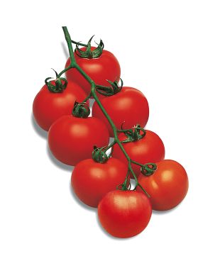 Tomates Grappe prémio