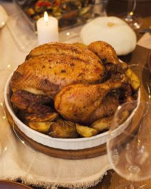 Pintade