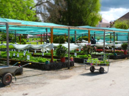 Foire aux plantes et plants de légumes de Cramans