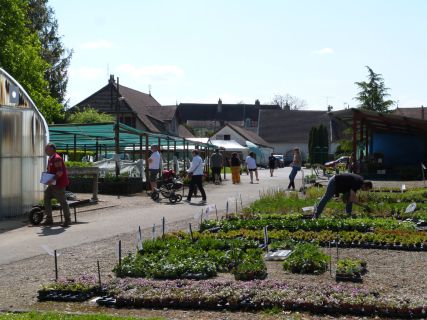 ouverture des serres le week end du 6 et 7 mai