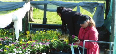 ESAT Les Glycines : produits frais locaux dans le Jura