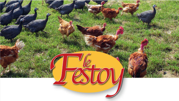 Poulets "le Festoy" et pintades de la ferme à Cramans